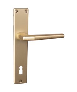 Handle F1330Y – F2 – cylinder(3830016415331)